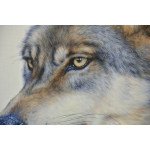 张运华---天狼系列3精品写真油画，室内装饰画 墙画，画家真迹