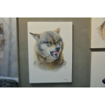 张运华---天狼系列4精品写真油画，室内装饰画 墙画，画家真迹