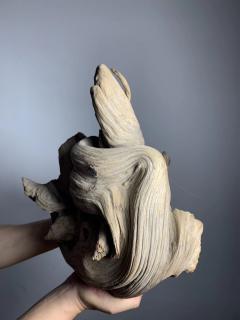 《极品》太行崖柏骨料扭曲坨坨，很完整，纹理漂亮，特别形象，重9斤