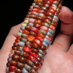 七彩宝石文玩玉米带皮天然宝石血丝文玩玉米毛料，不带皮