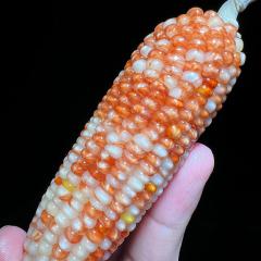 七彩宝石文玩玉米带皮天然宝石血丝文玩玉米毛料，不带皮